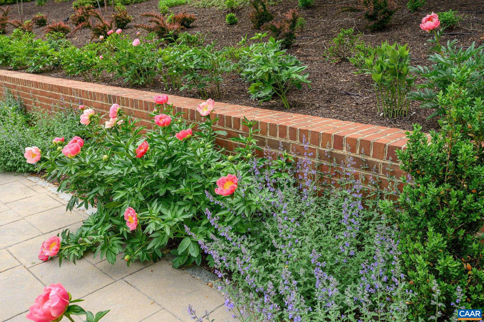 2440 NORTH DOGWOOD LN