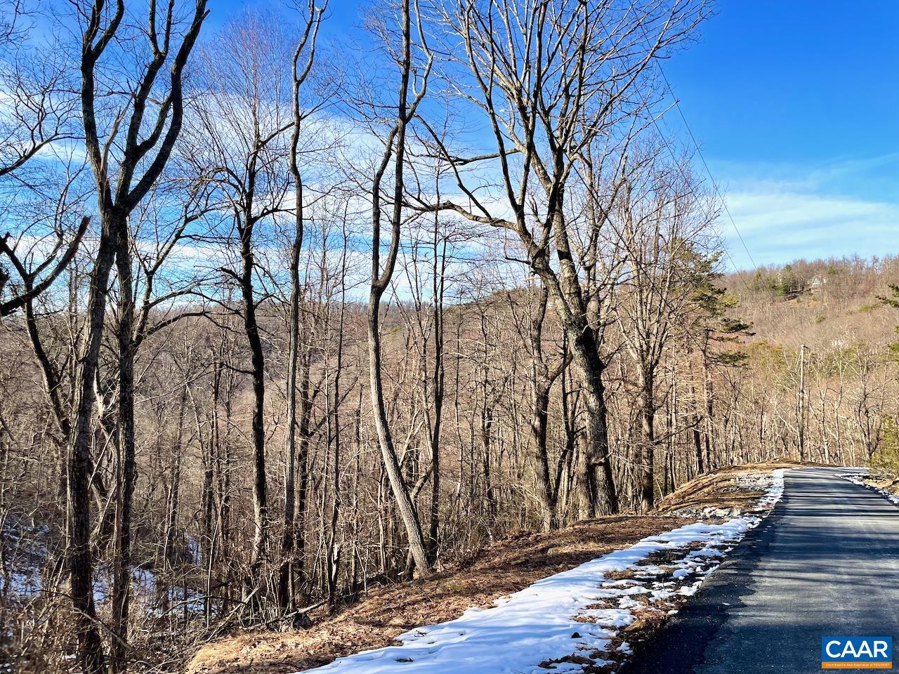 MOUNTAIN LAUREL LN Unit: 1
