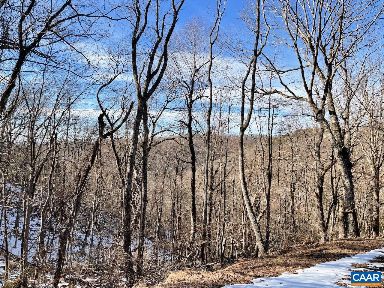 MOUNTAIN LAUREL LN Unit: 1