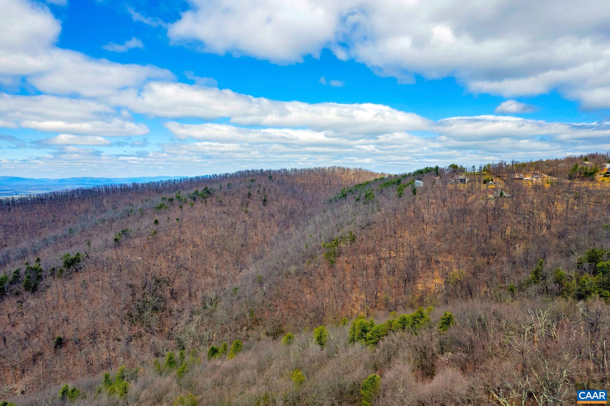 MOUNTAIN LAUREL LN Unit: 1