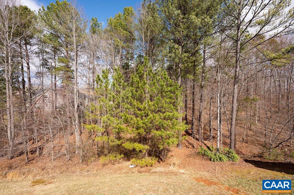 9 LAUREL OAK CT