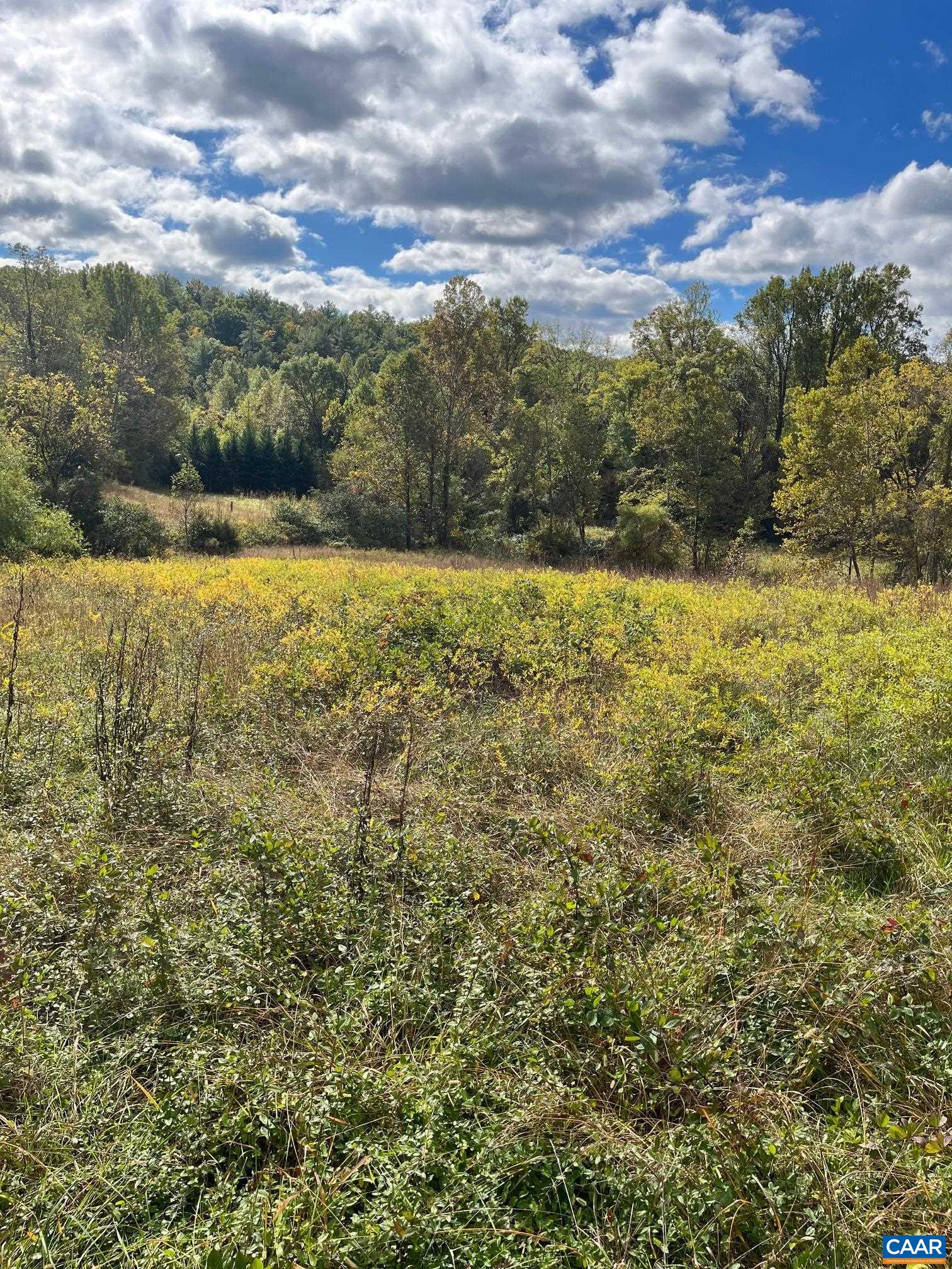 TBD 2 BROWNS GAP TPKE