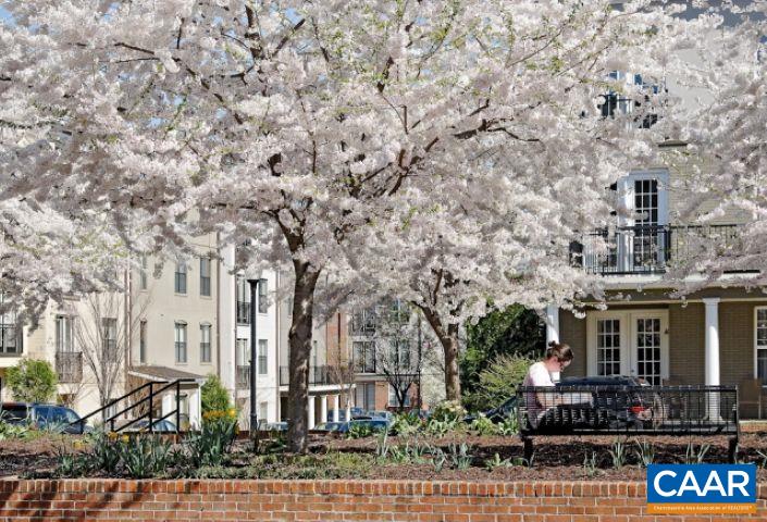 725 WALKER SQ Unit: 2D