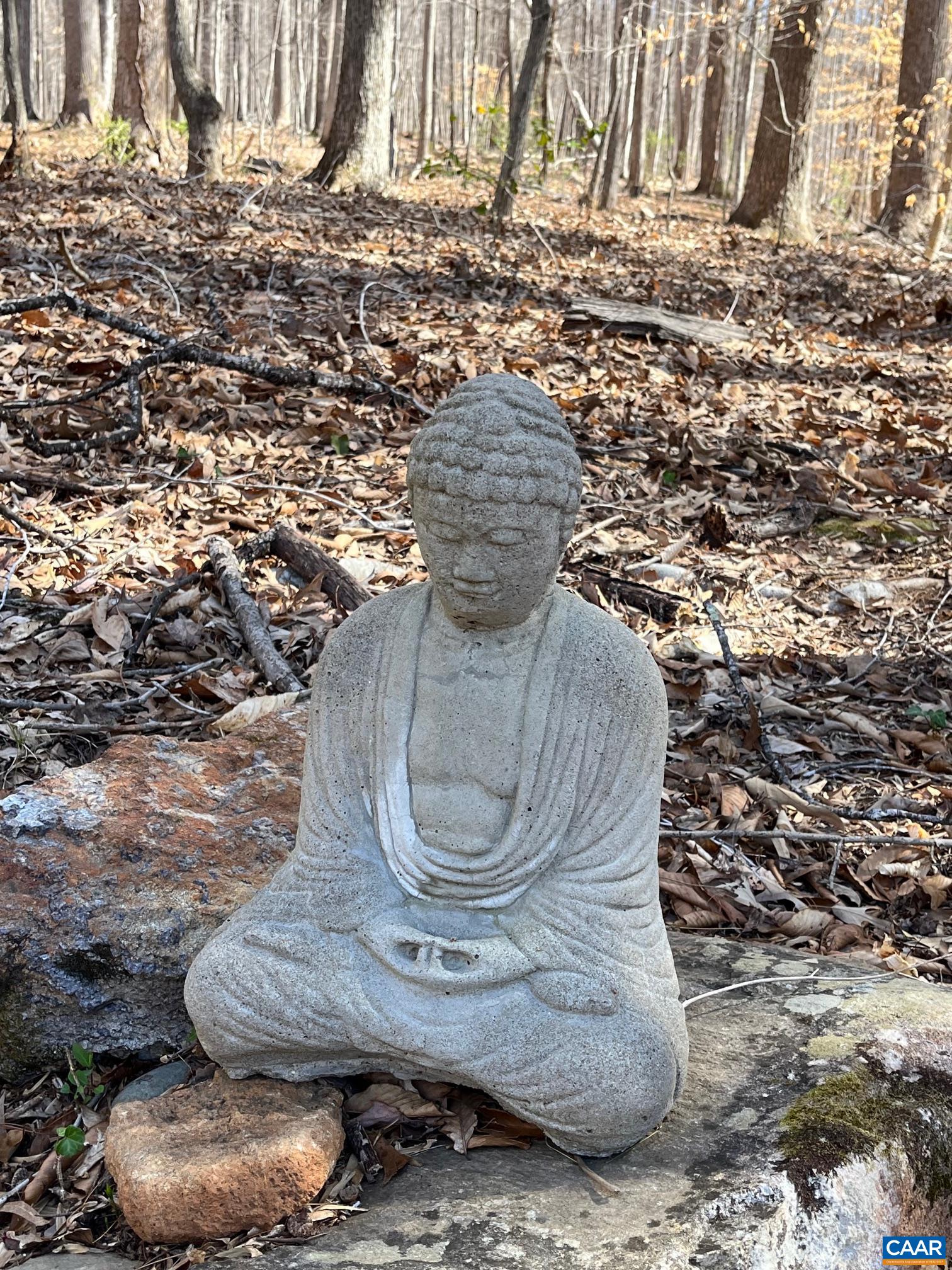 2839 OLD ROBERTS MOUNTAIN RD