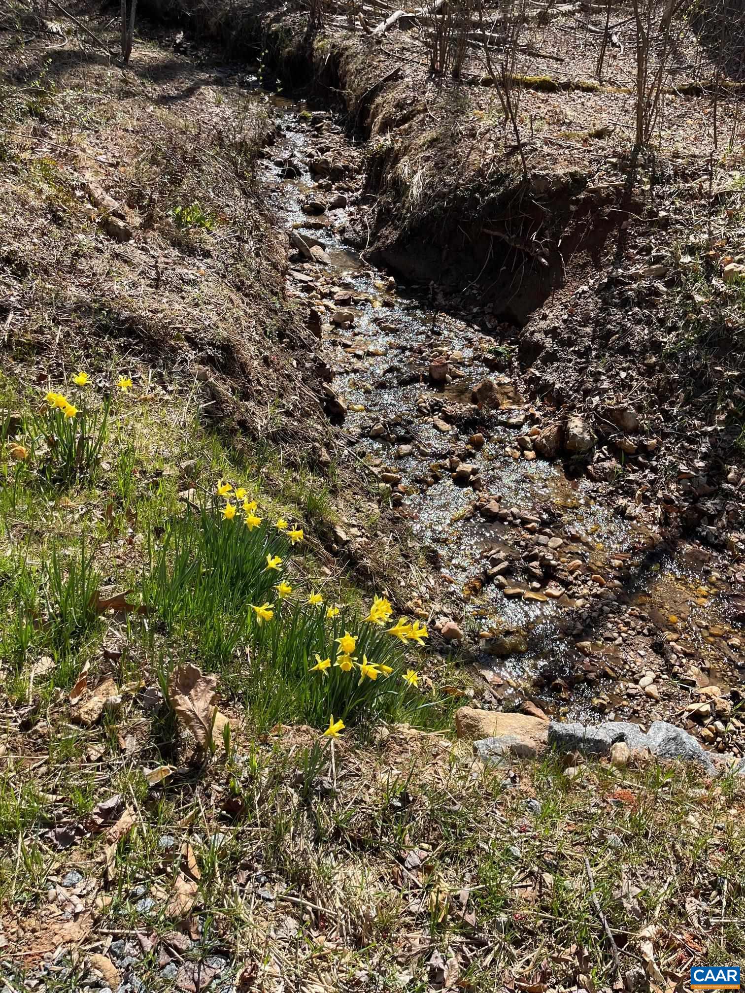 2839 OLD ROBERTS MOUNTAIN RD