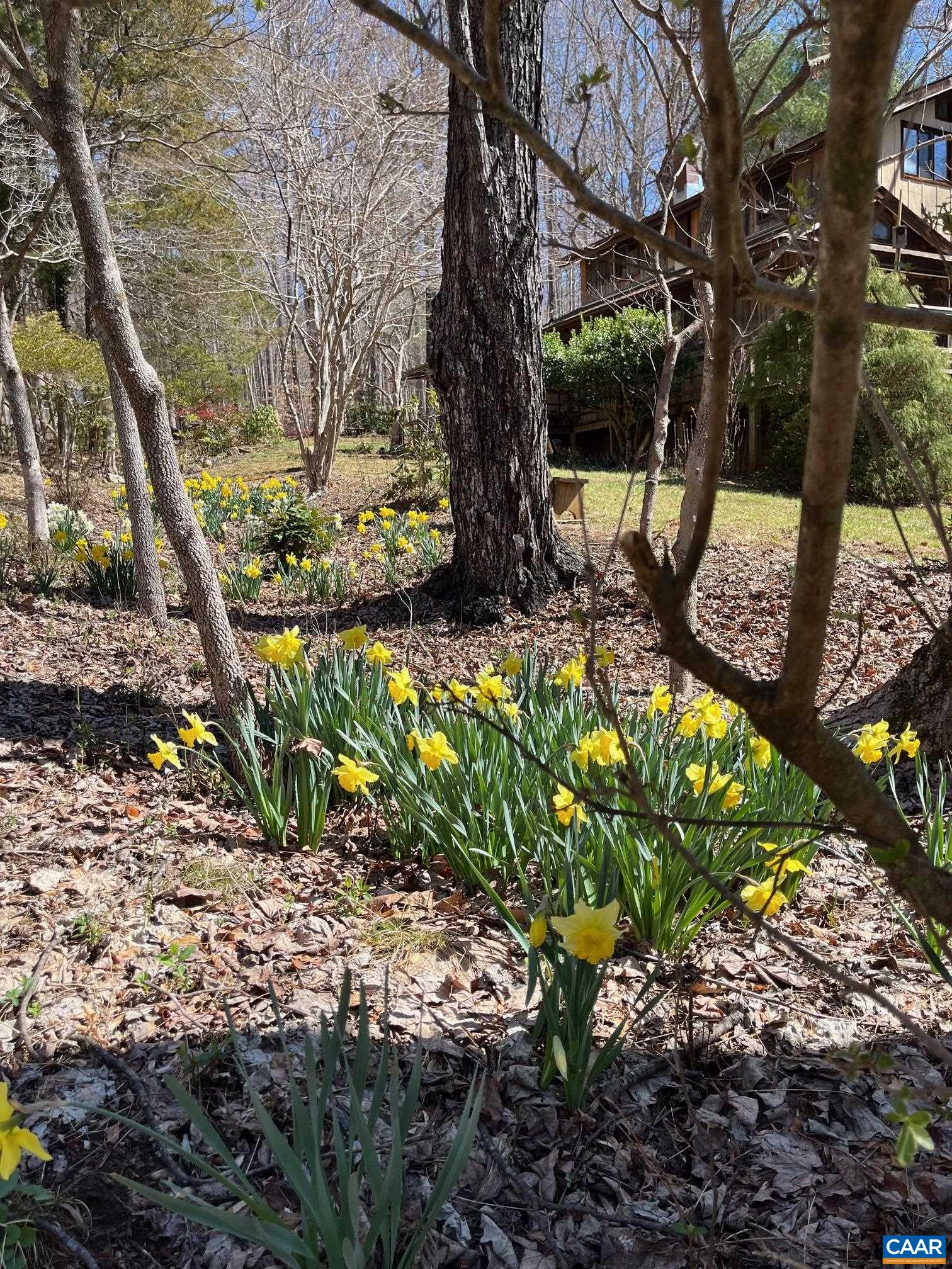 2839 OLD ROBERTS MOUNTAIN RD