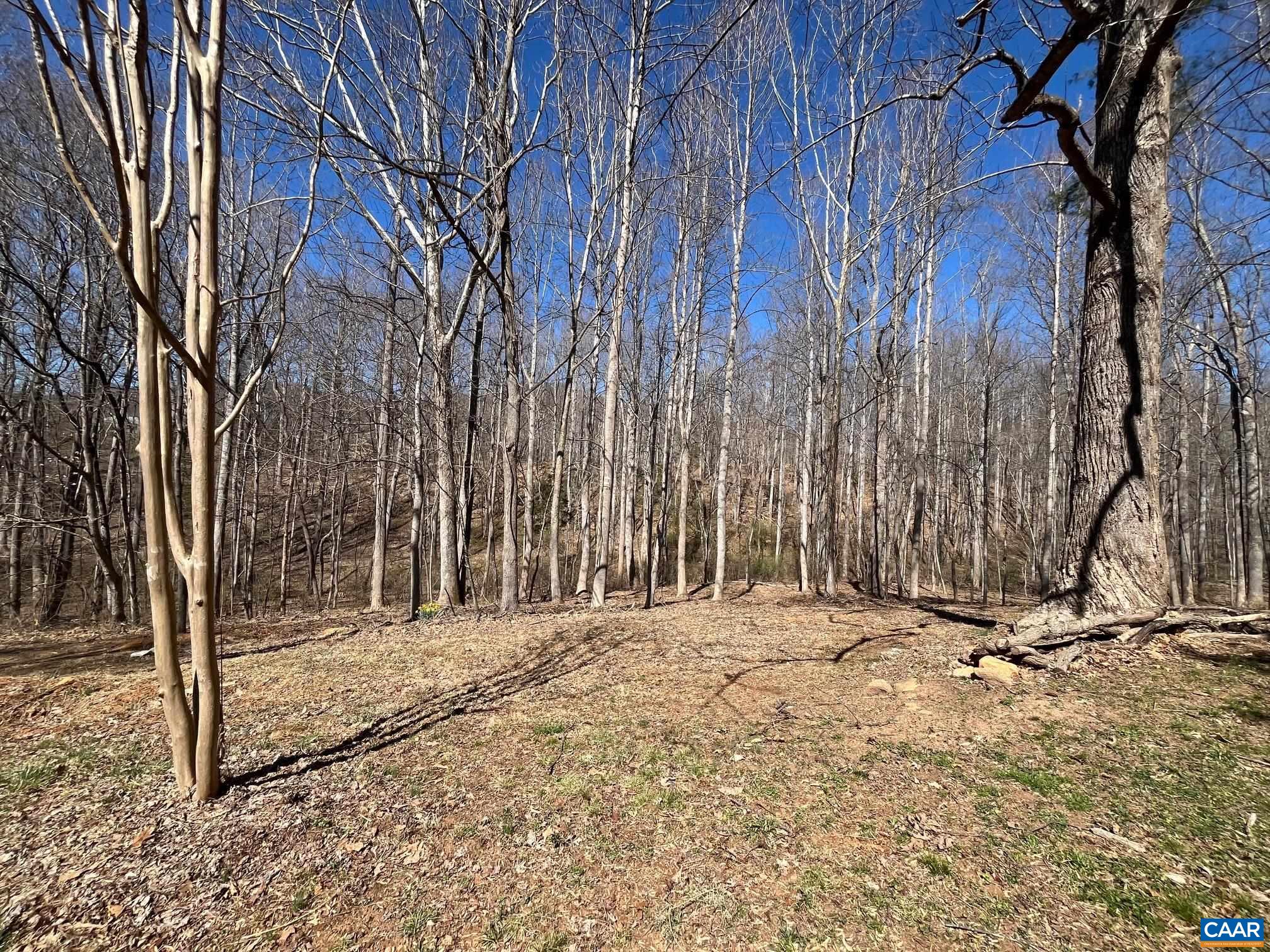 2839 OLD ROBERTS MOUNTAIN RD