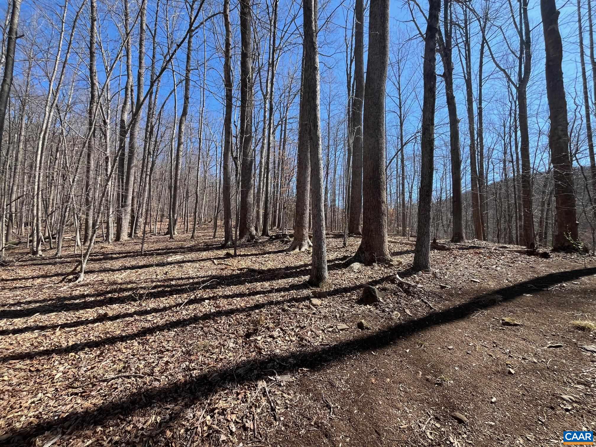 2839 OLD ROBERTS MOUNTAIN RD