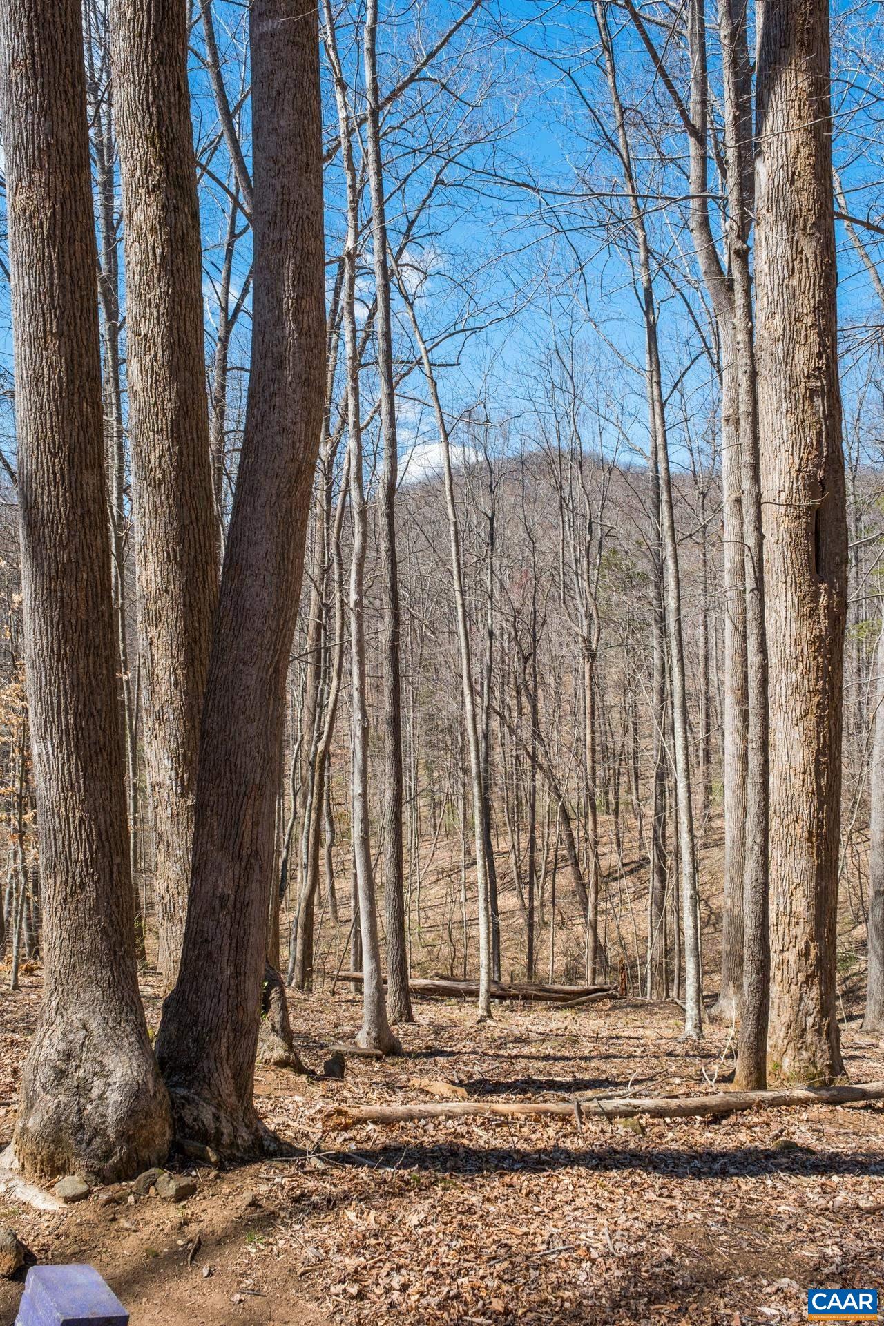 2839 OLD ROBERTS MOUNTAIN RD