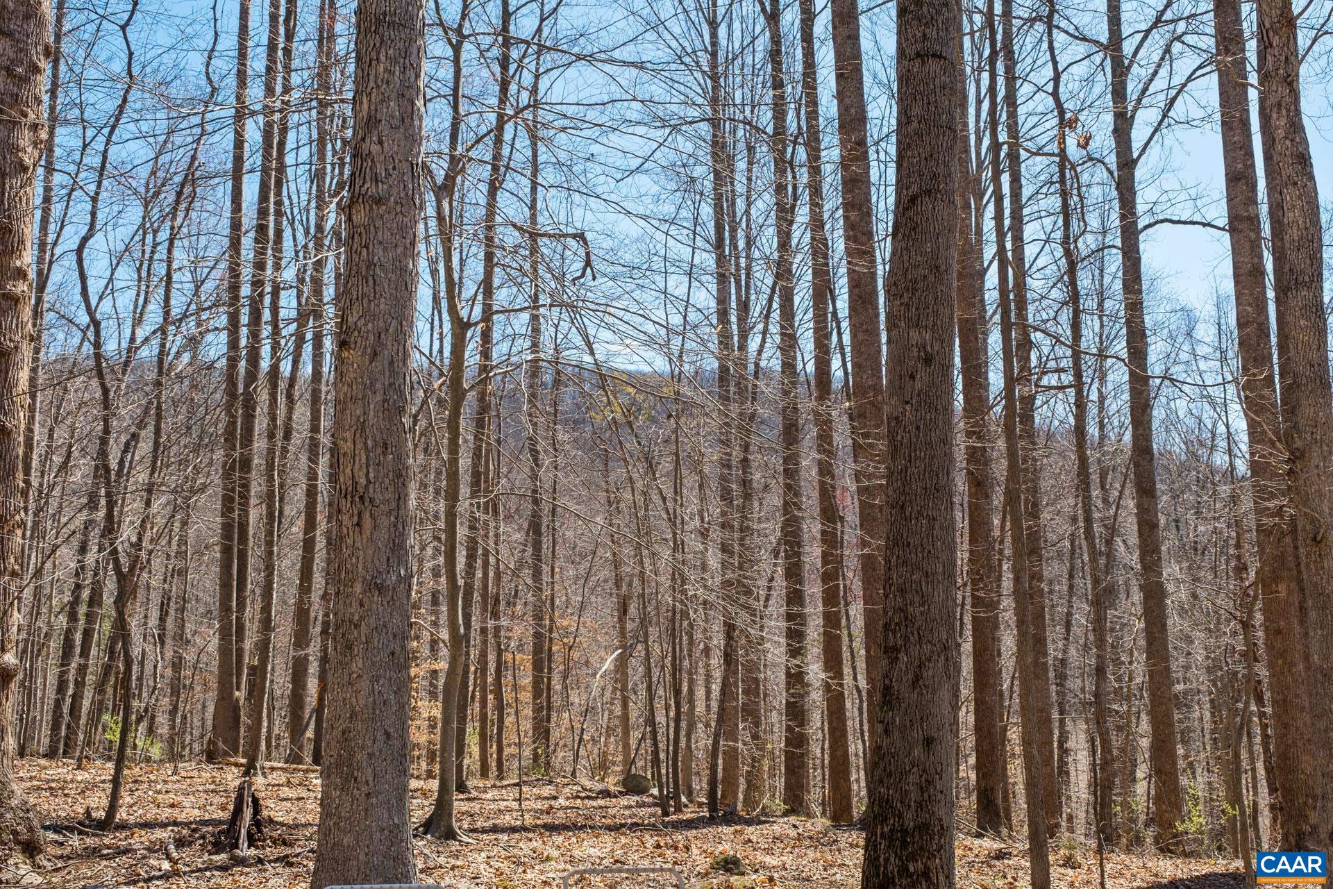 2839 OLD ROBERTS MOUNTAIN RD