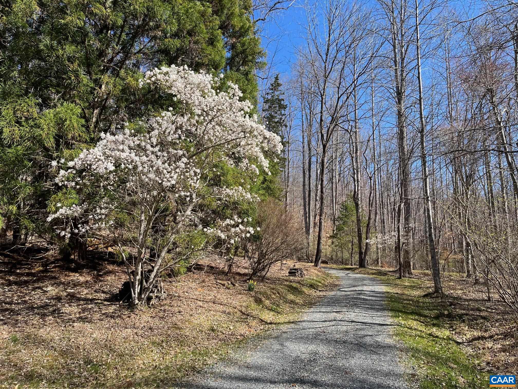 2839 OLD ROBERTS MOUNTAIN RD