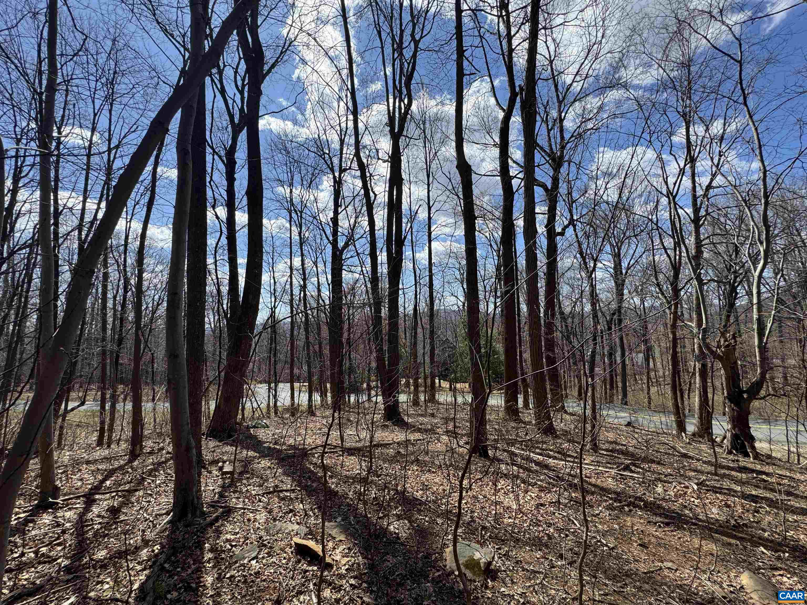 TBD FAR KNOB CLIMB