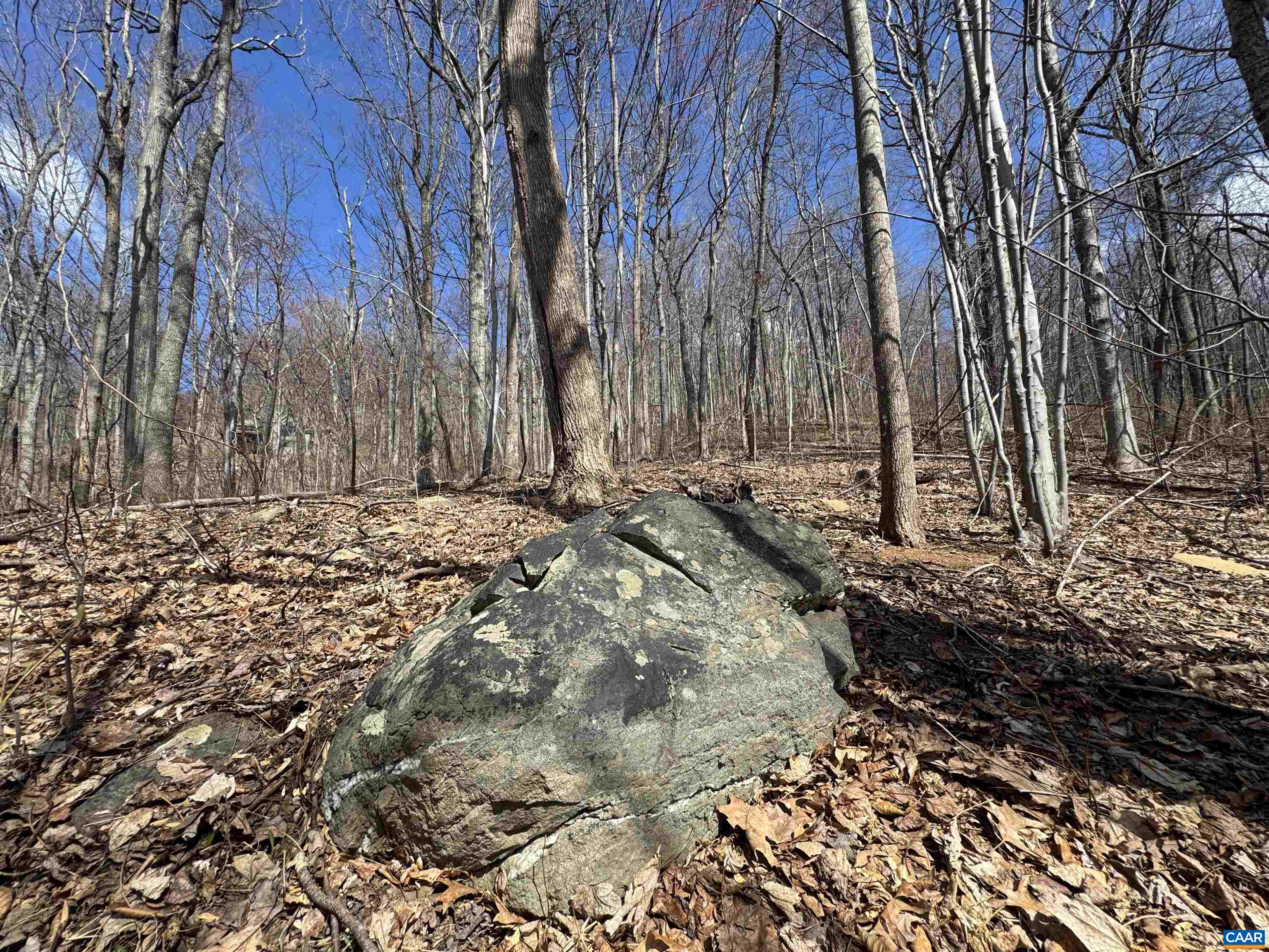 TBD FAR KNOB CLIMB