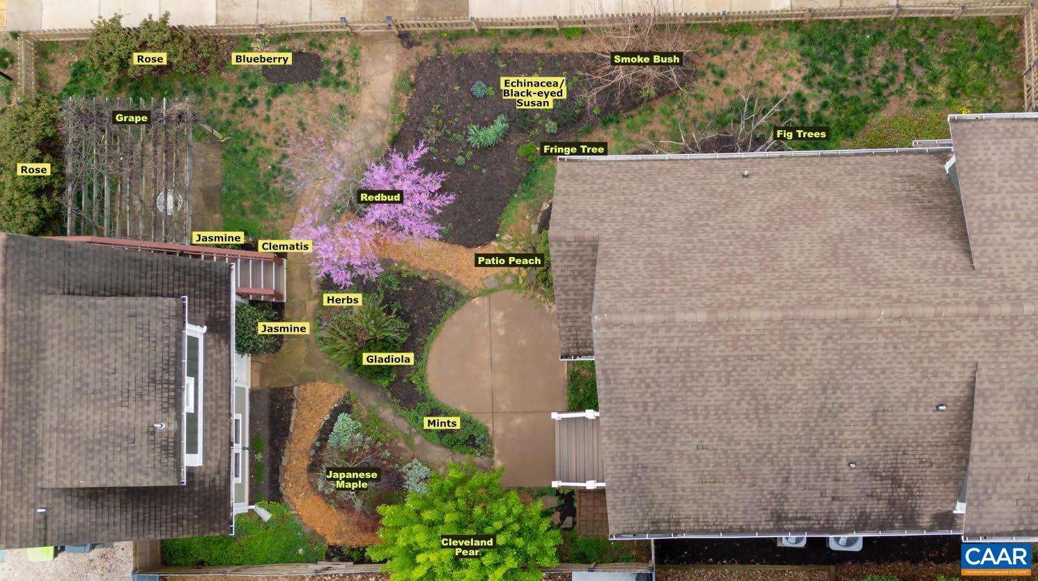 658 TYREE LN