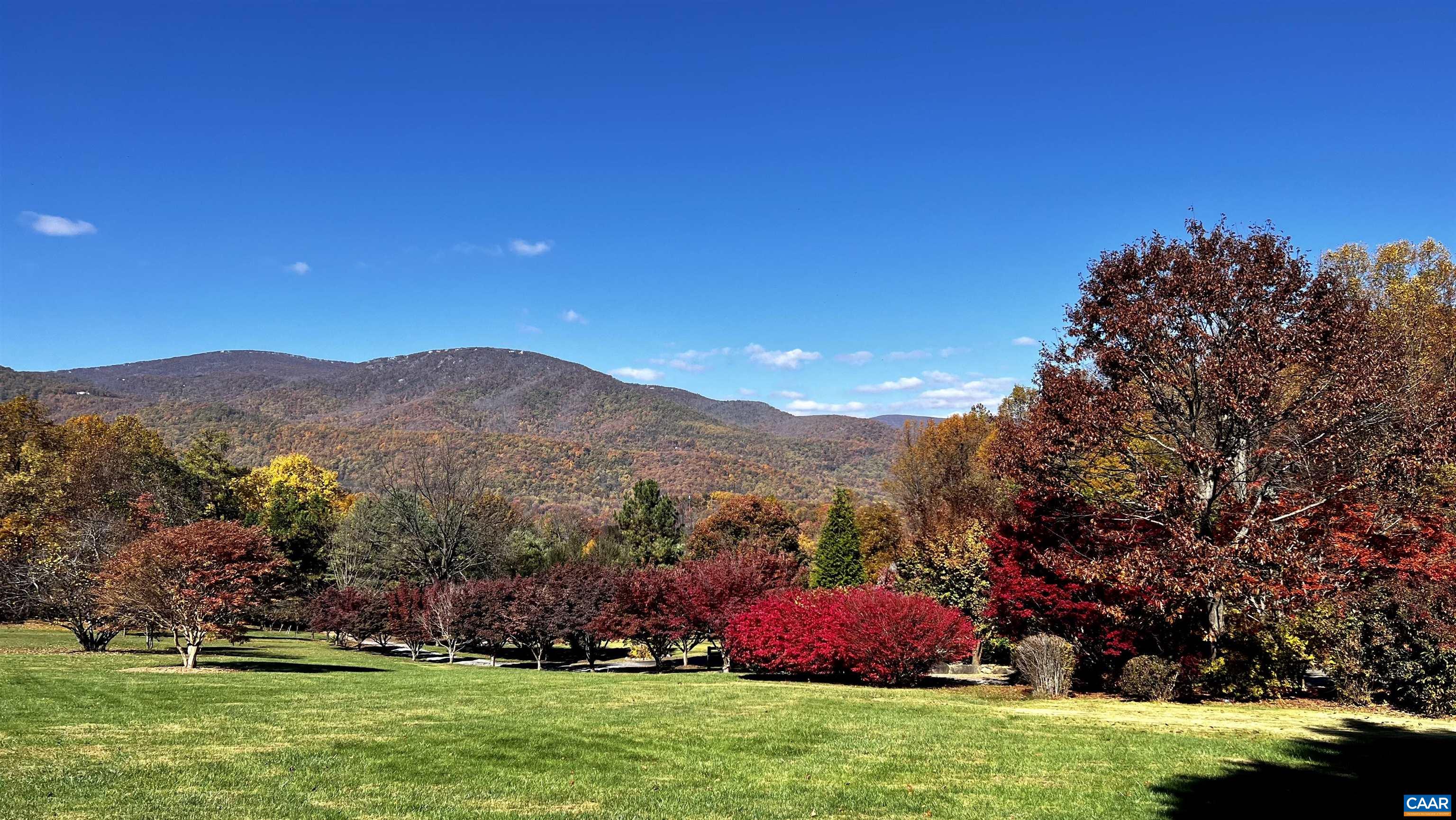 6 OLD ORCHARD LN