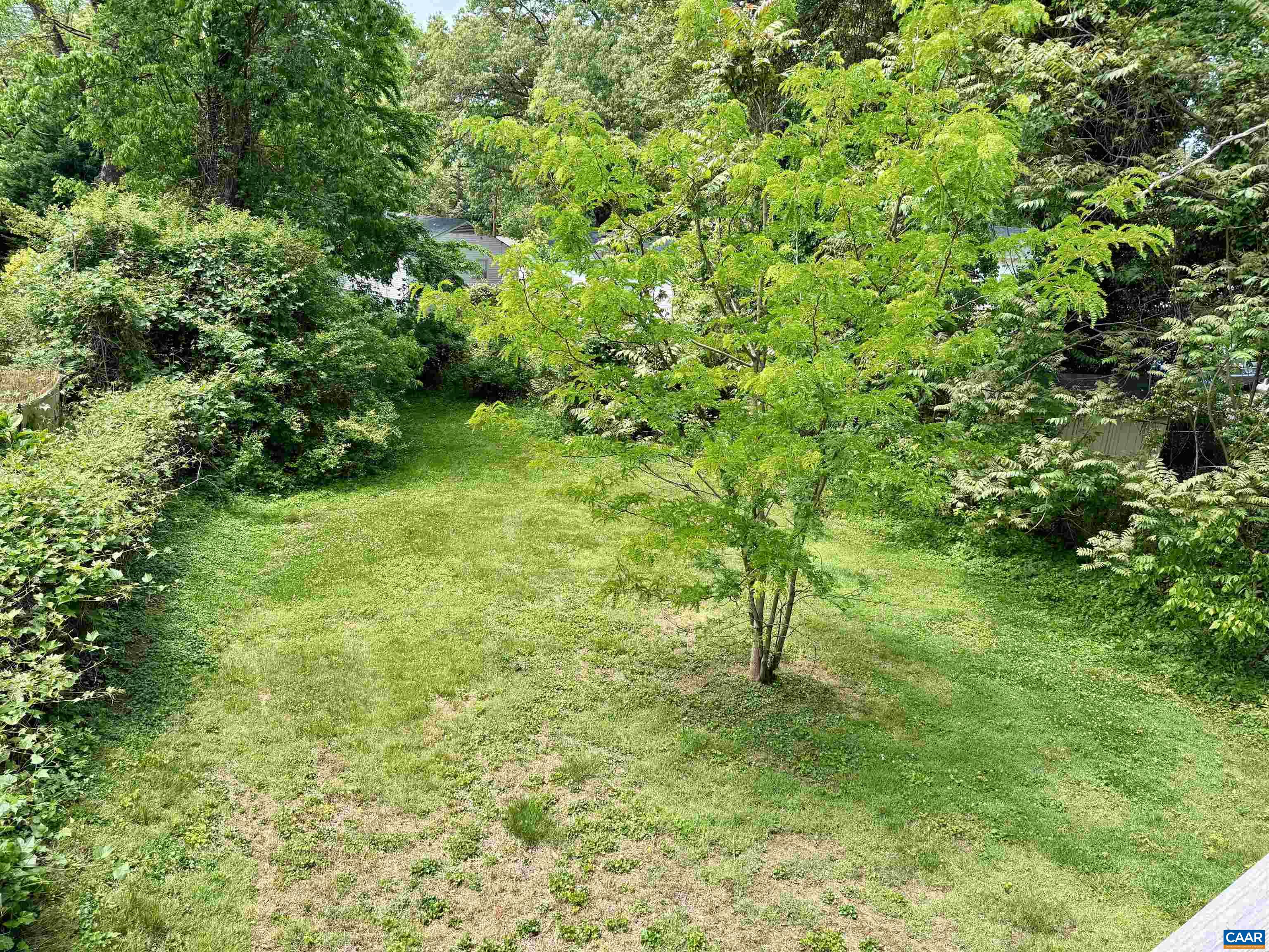 239 SHAMROCK RD
