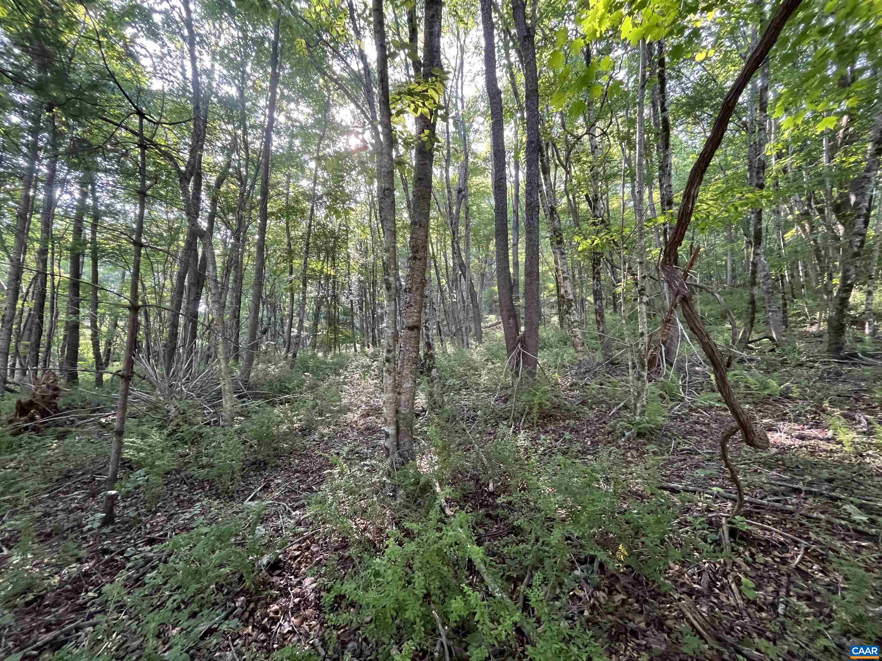 TBD FISH HATCHERY LN