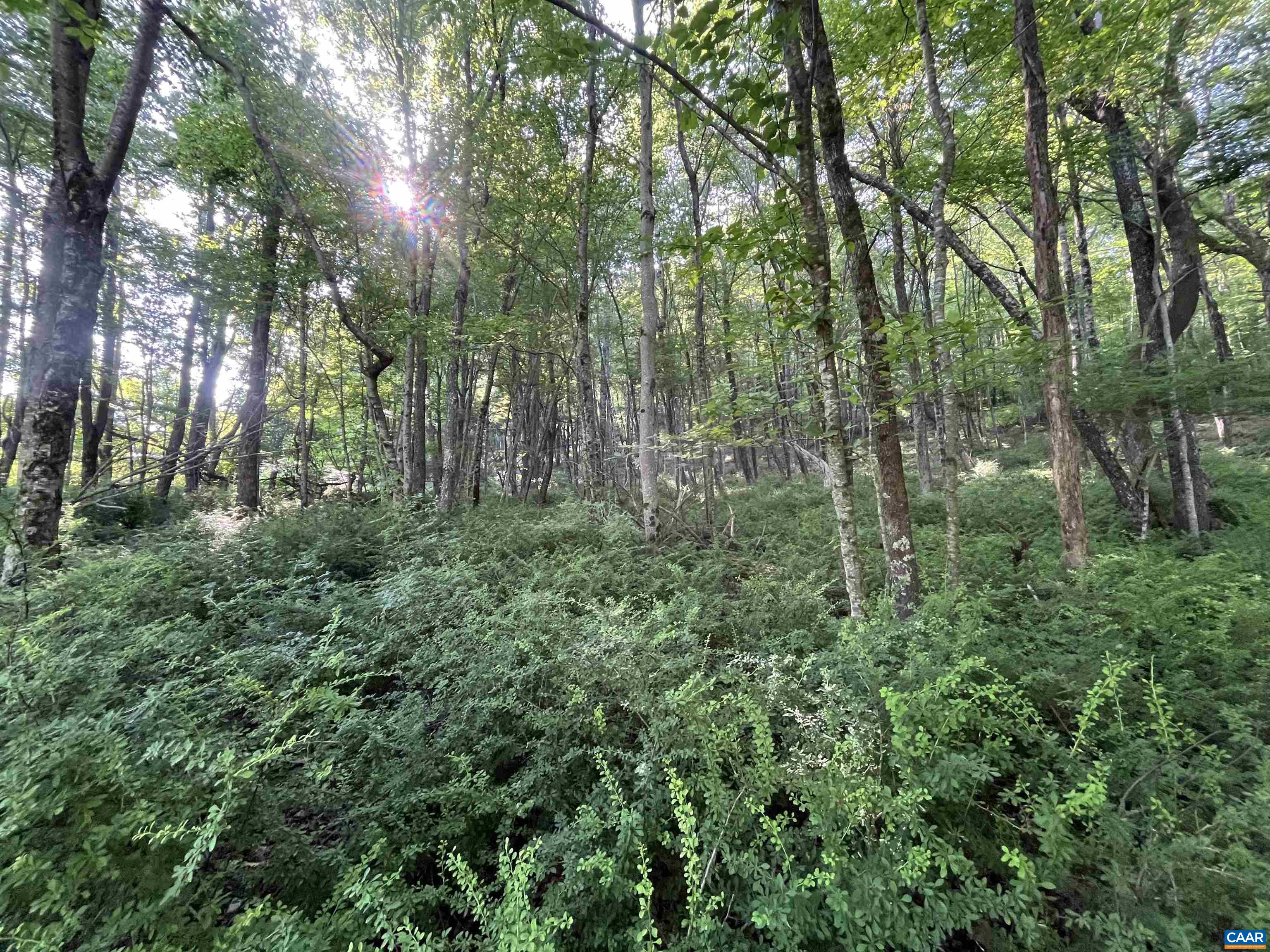 TBD FISH HATCHERY LN