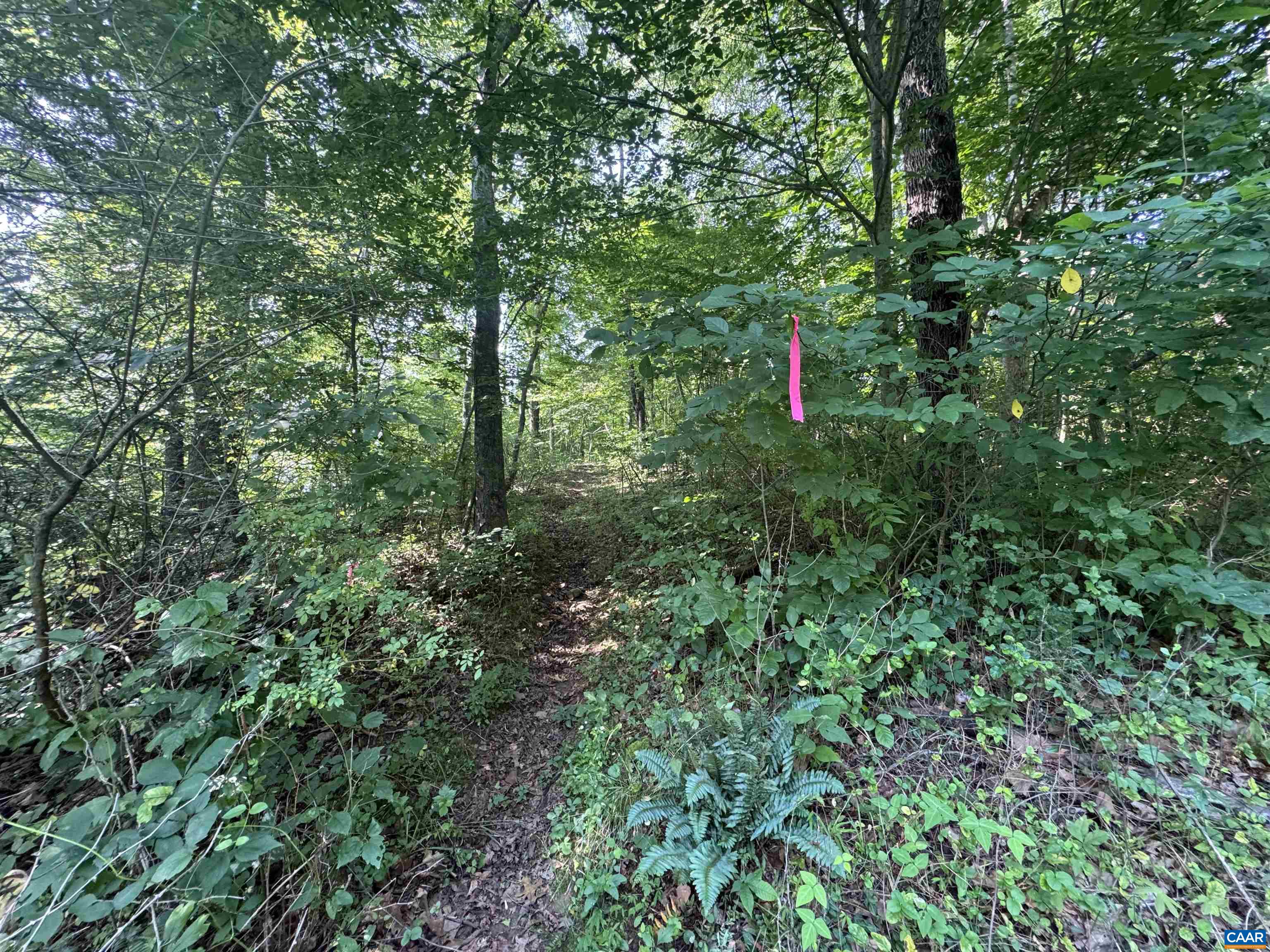 Lot 4 RODES VALLEY DR