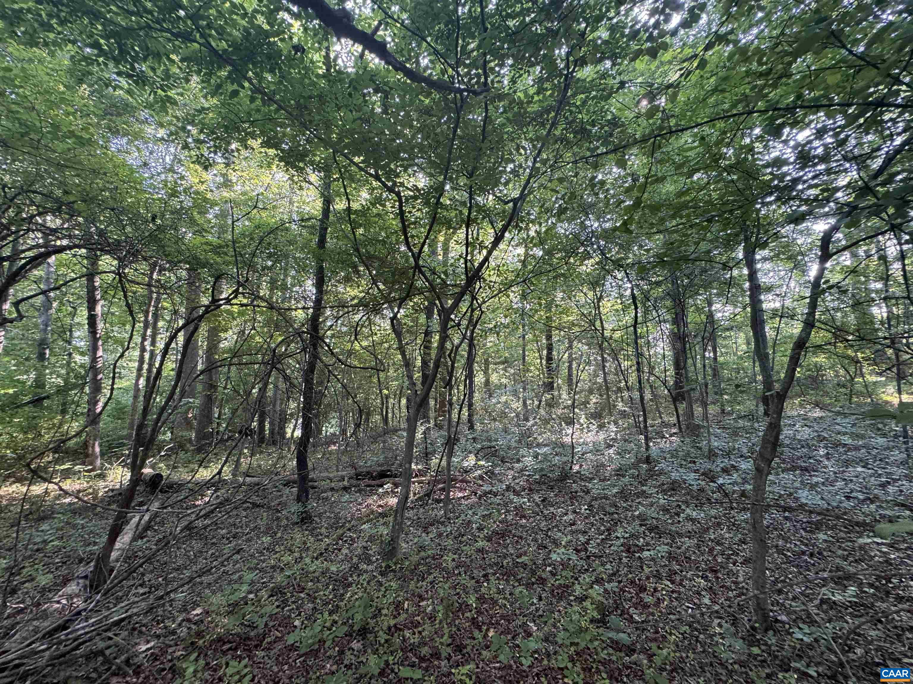 Lot 4 RODES VALLEY DR