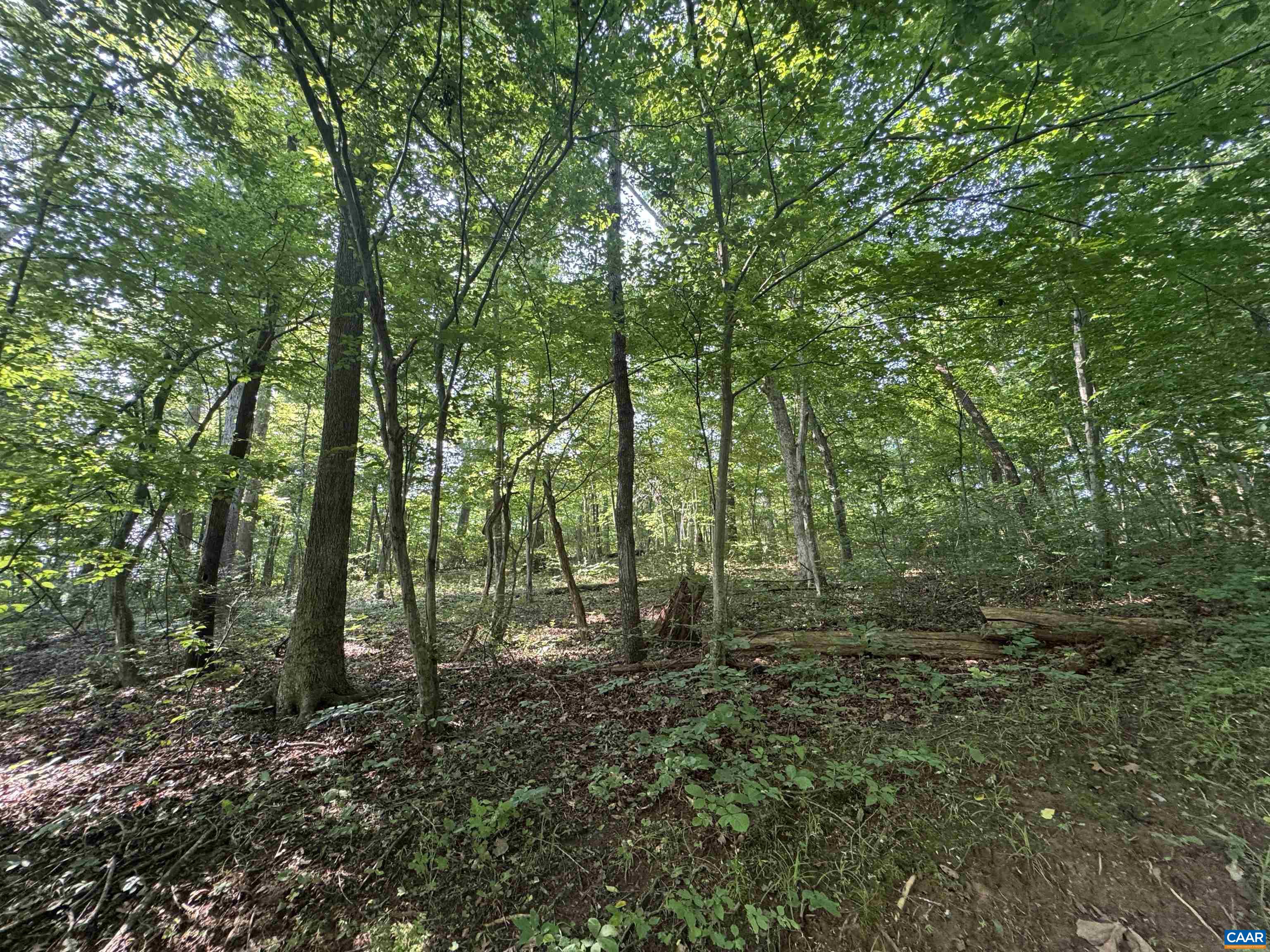 Lot 4 RODES VALLEY DR