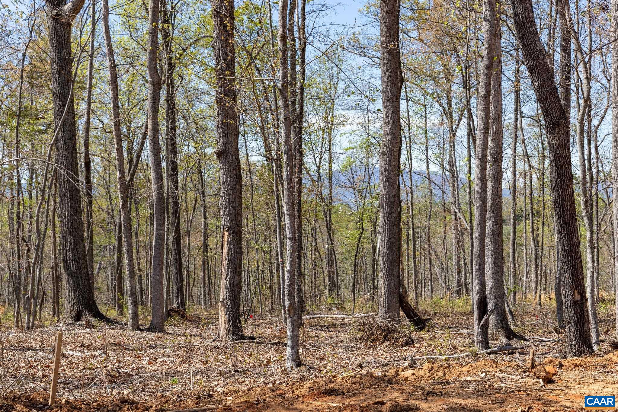 105 PEA RIDGE RD