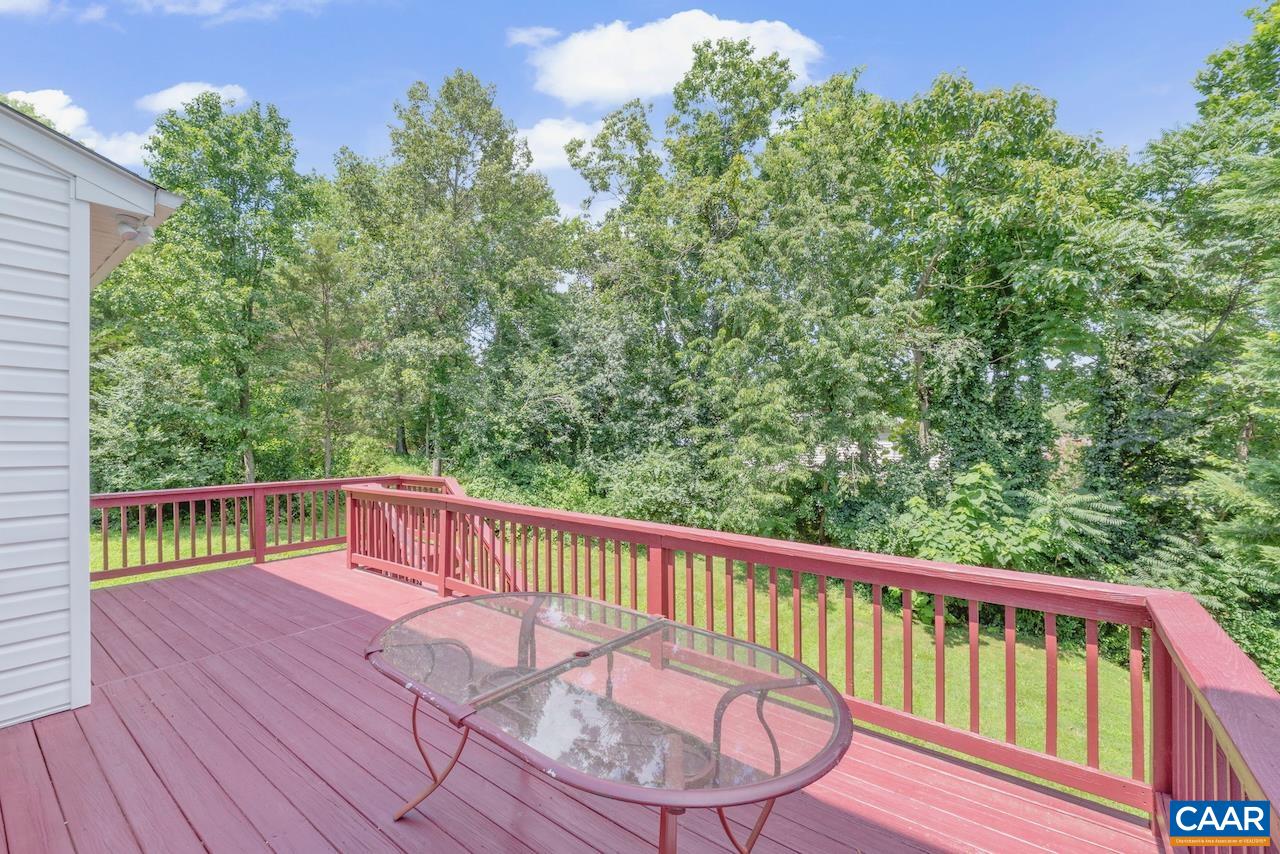 358 LEAPING FOX CT