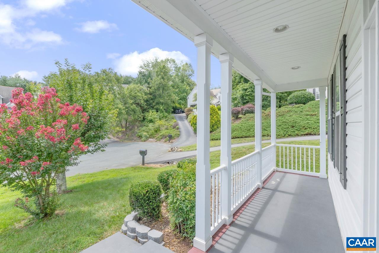 358 LEAPING FOX CT