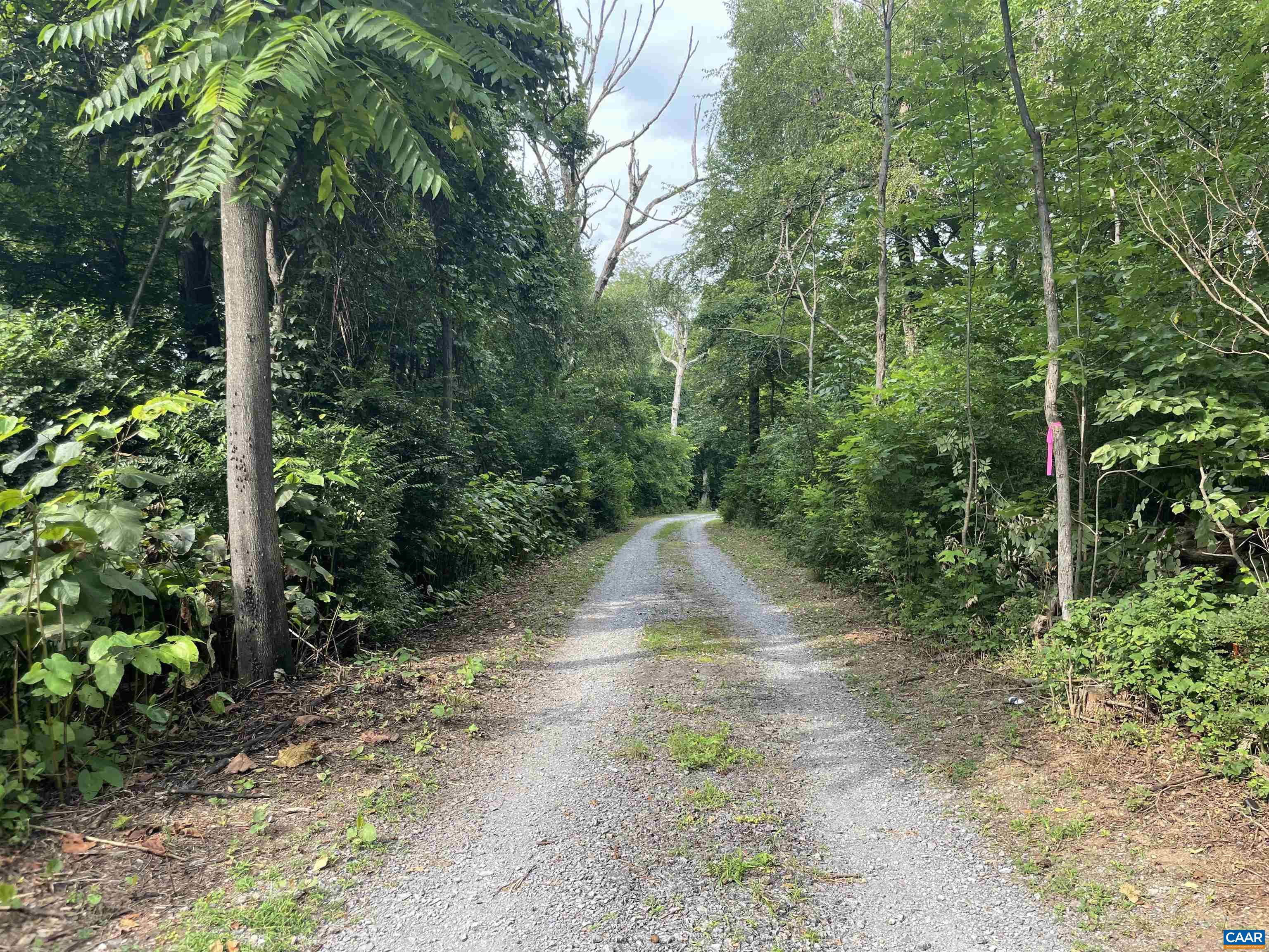 Block A Lot 2 SWANNANOA LN