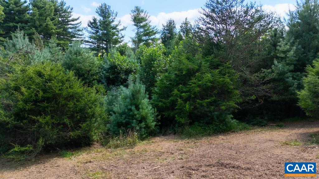 Lot 4 ZINKS MILL SCHOOL RD