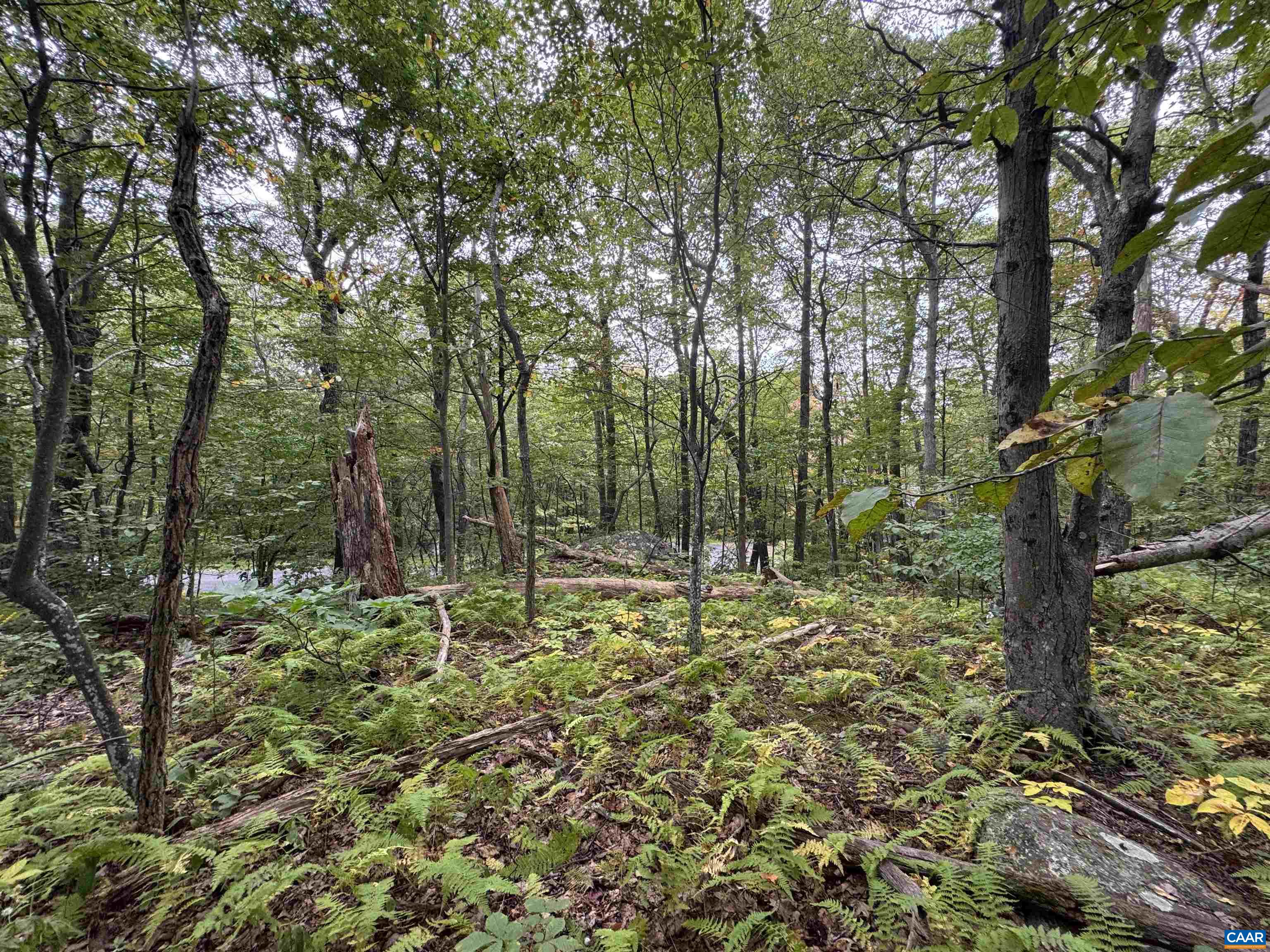 88 DEERBERRY LN