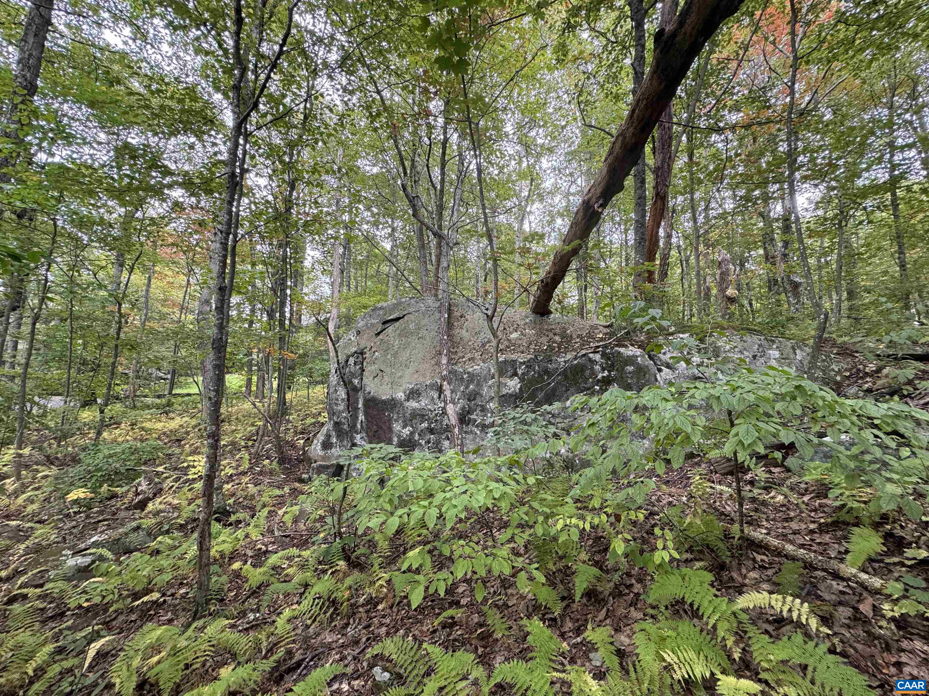 88 DEERBERRY LN