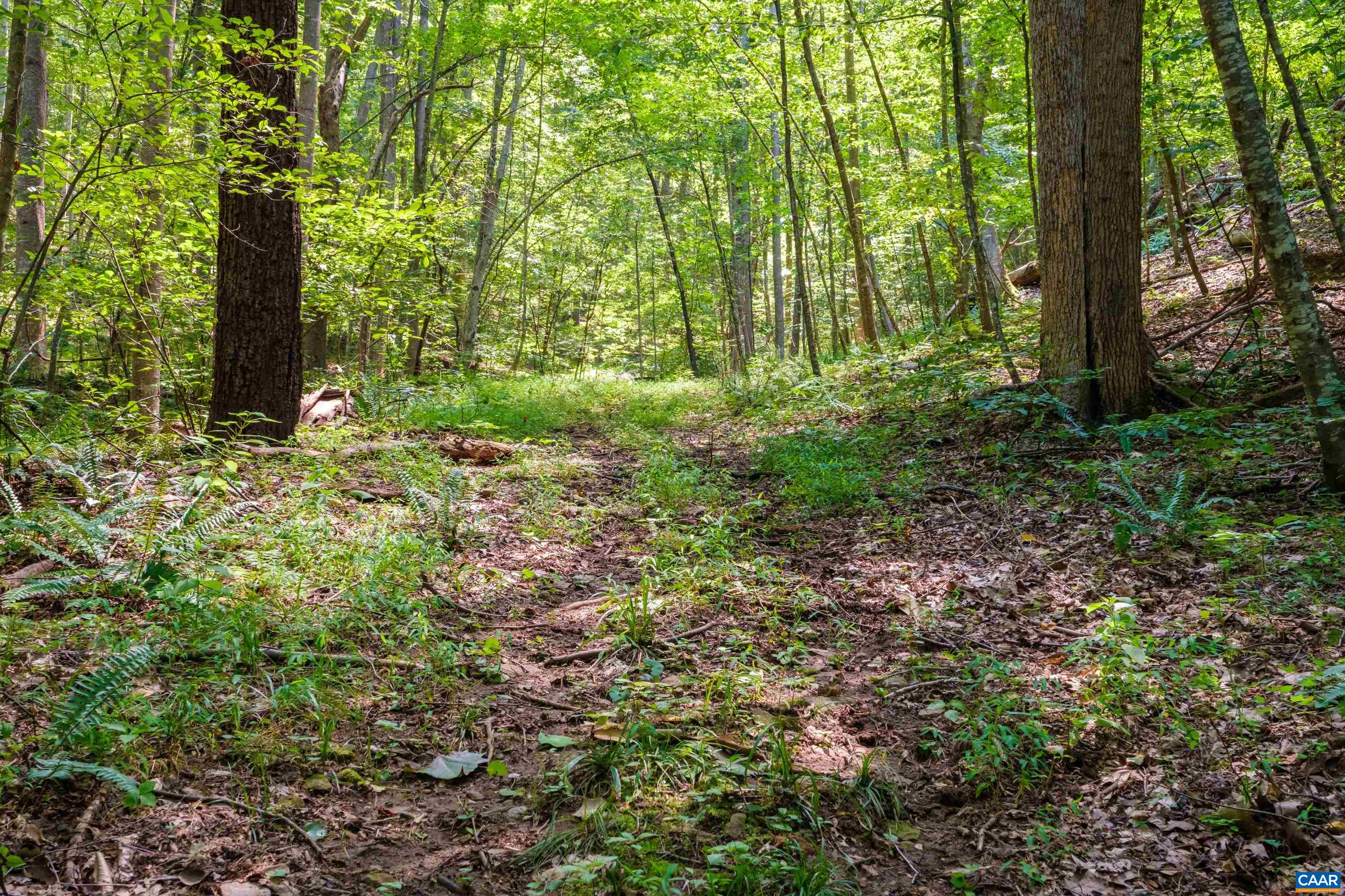 4375 TAYLOR CREEK RD