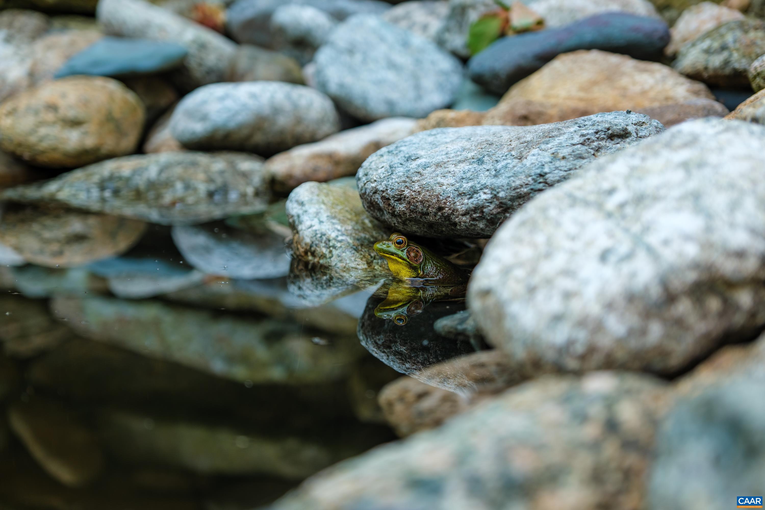 4375 TAYLOR CREEK RD