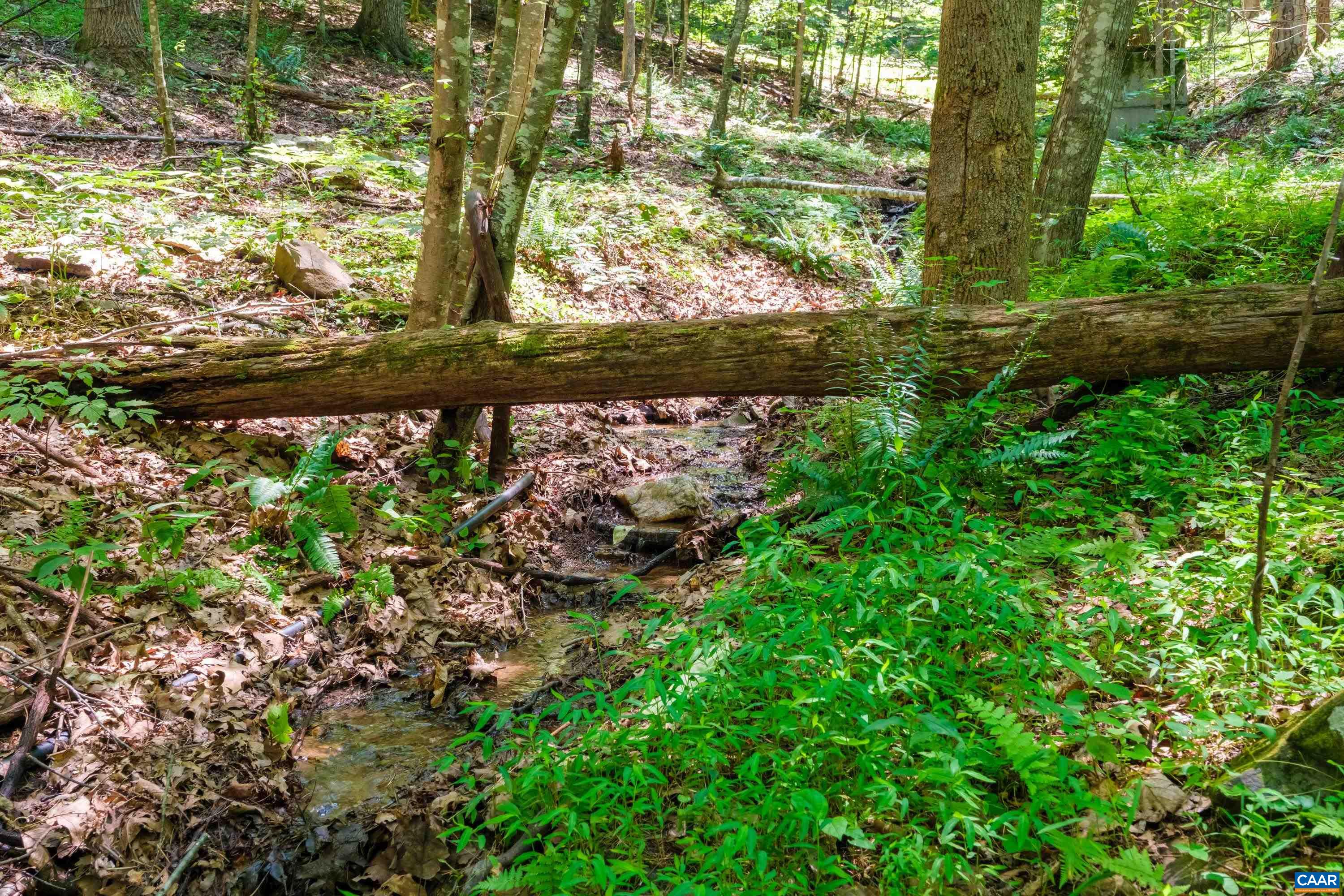 4375 TAYLOR CREEK RD