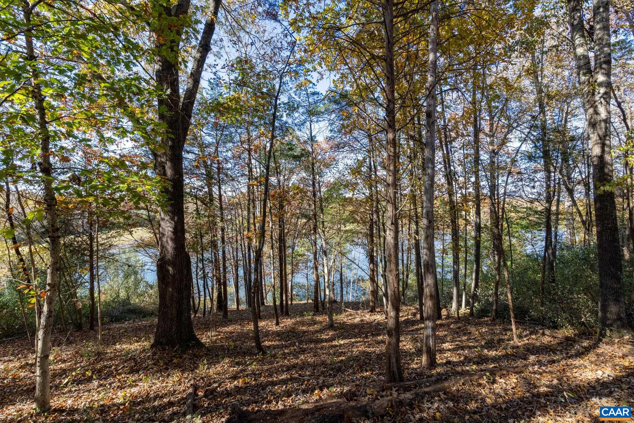 736 JONQUIL RD