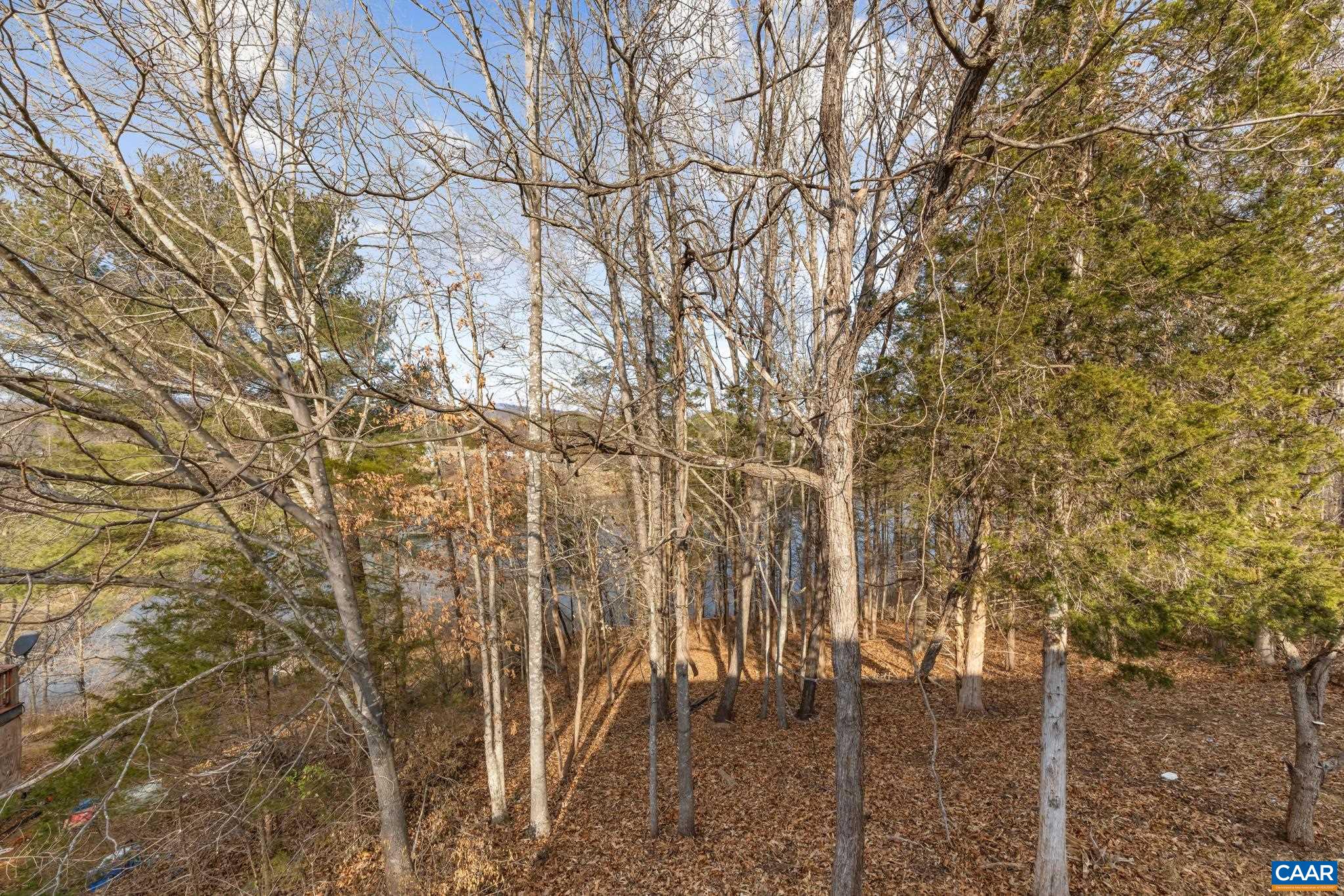 736 JONQUIL RD