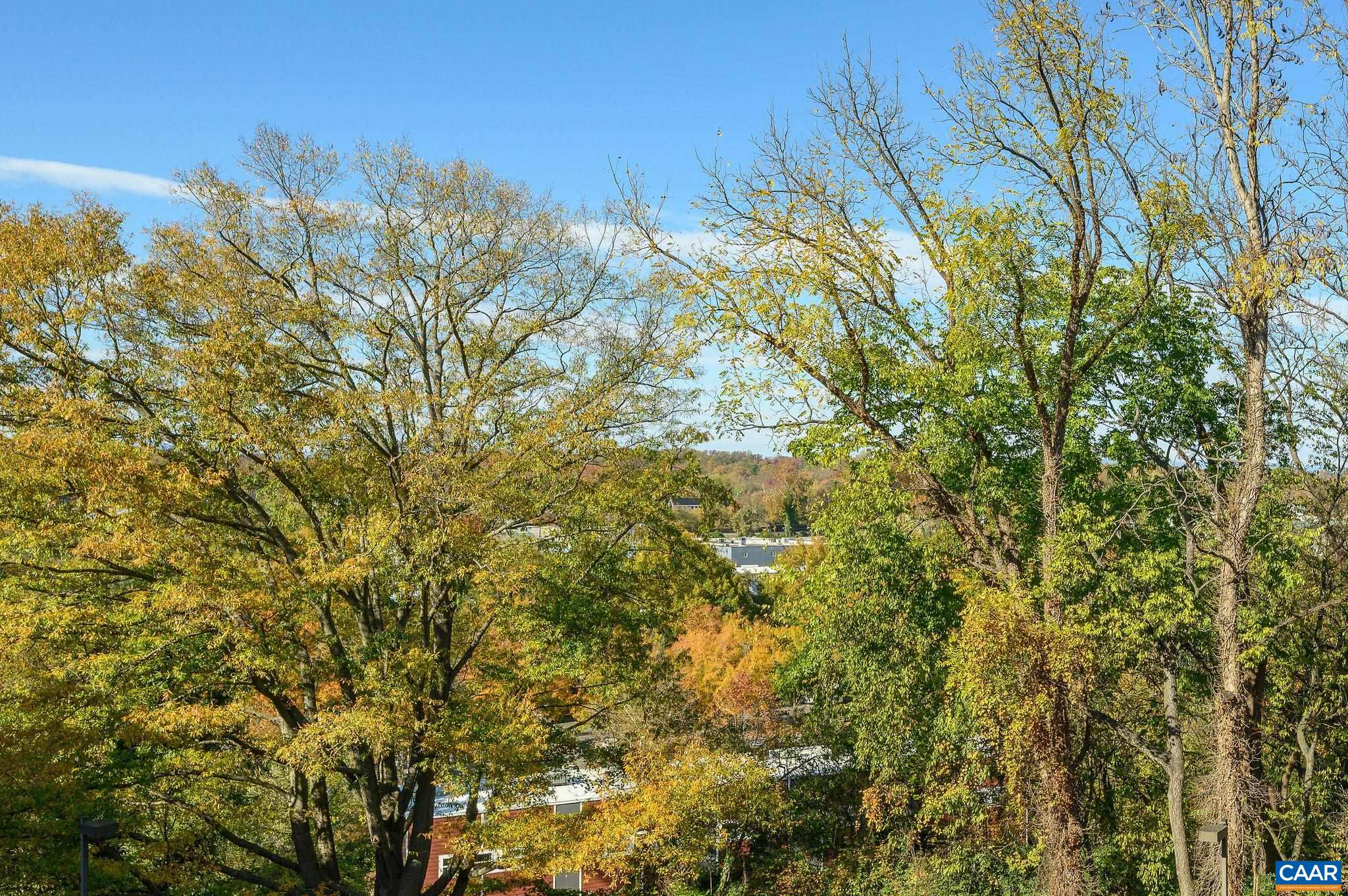 511 N 1ST ST Unit: 509