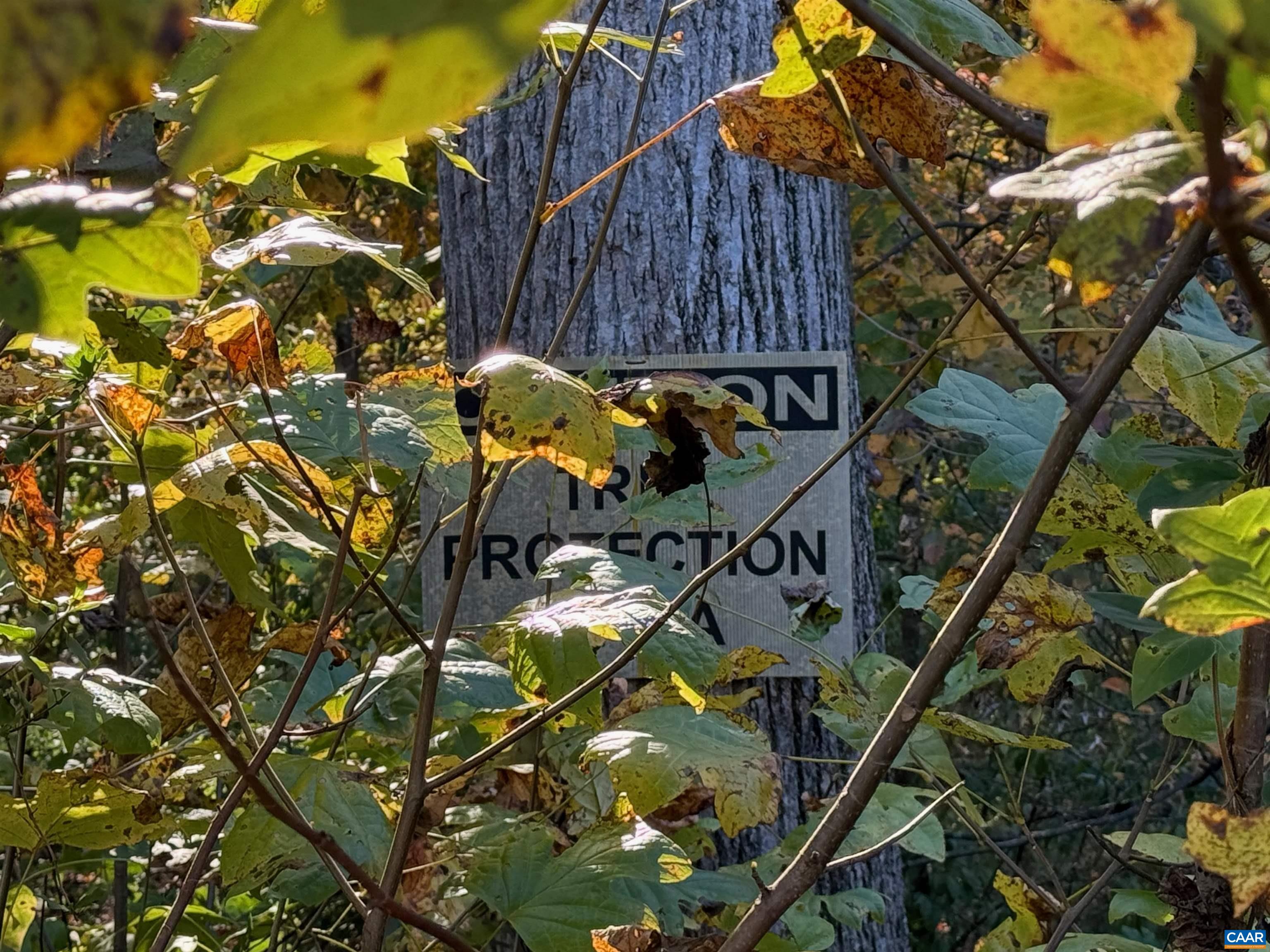 5227 SPARROW HILL LN