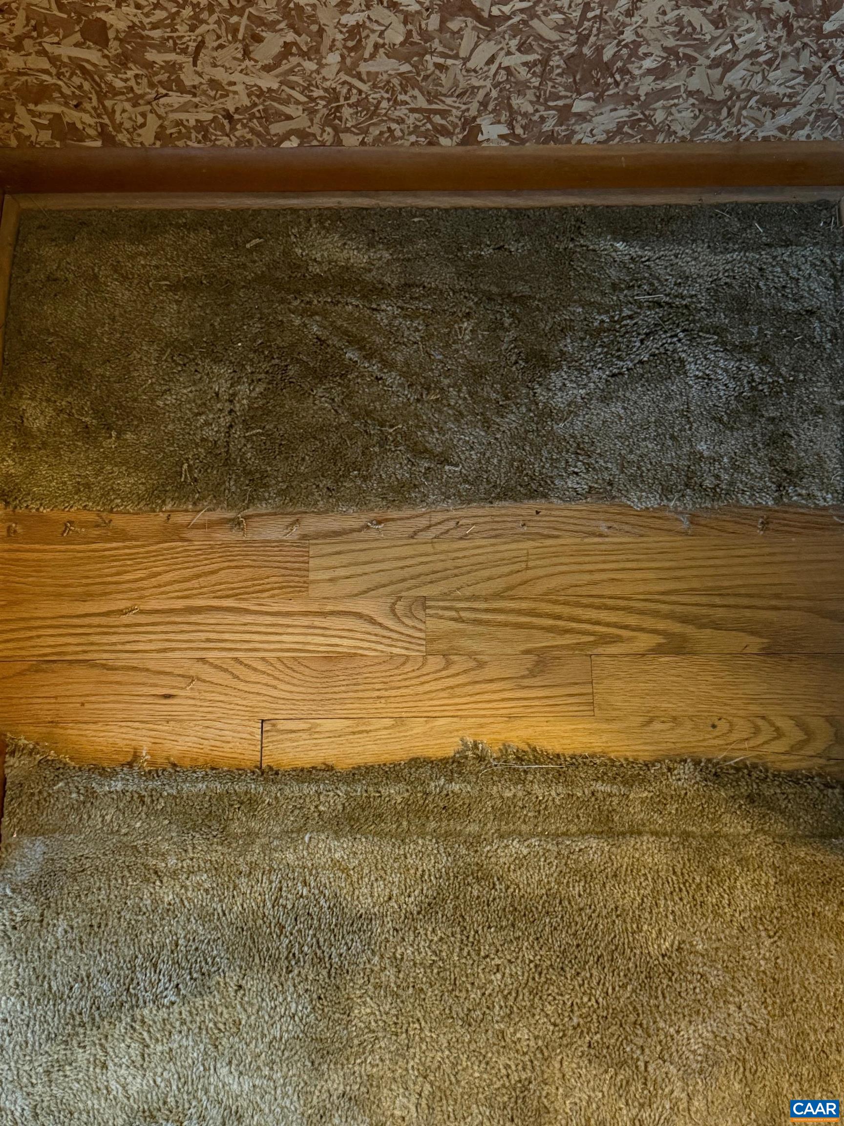 1007 SAINT CLAIR AVE