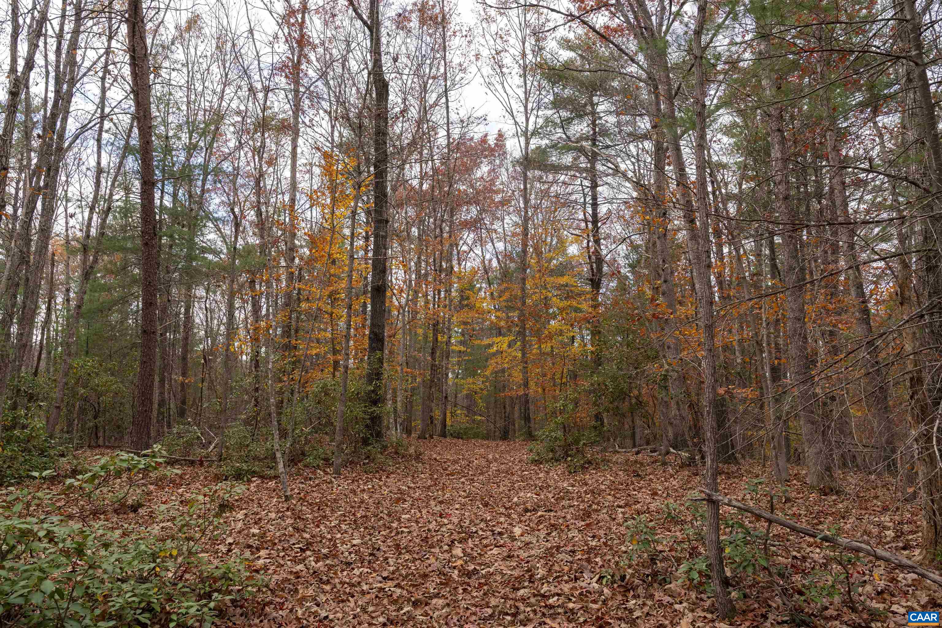 Lot 1A JIM LANE RD