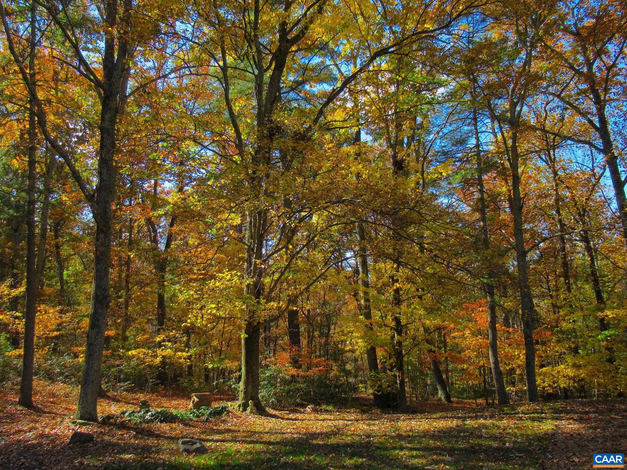 298 COURTHOUSE MOUNTAIN LN