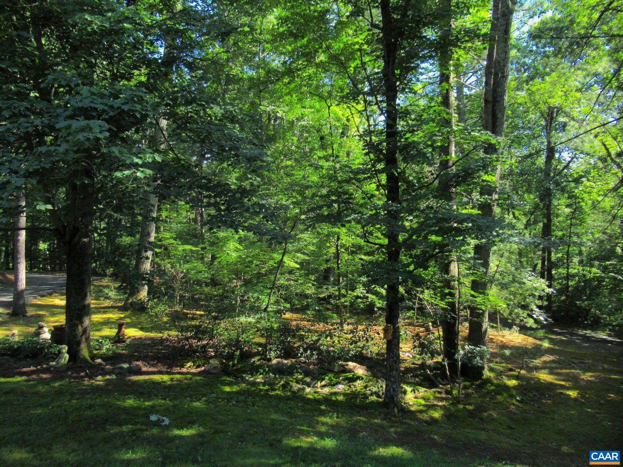 298 COURTHOUSE MOUNTAIN LN