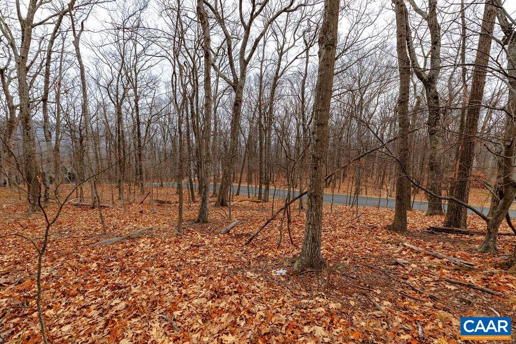 23 NORTH ROCK TREE LN