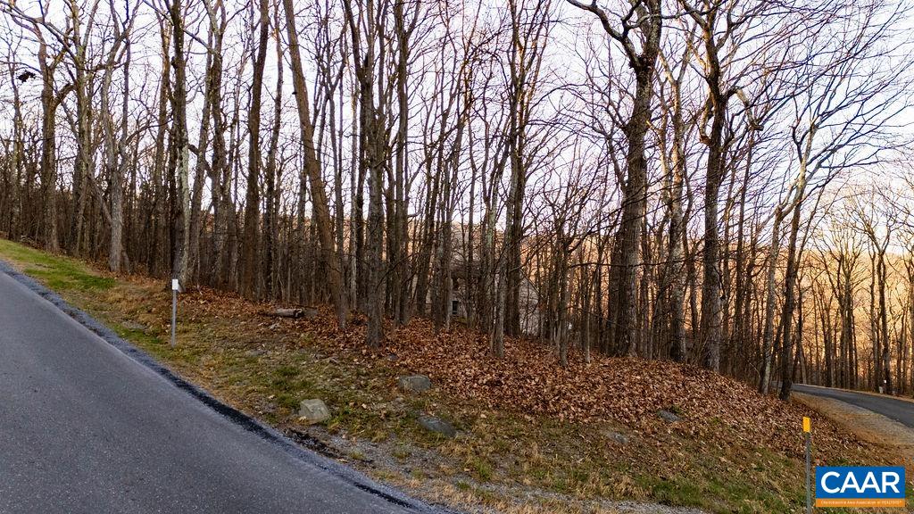 23 NORTH ROCK TREE LN