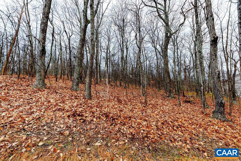 23 NORTH ROCK TREE LN