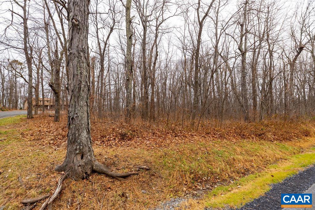 559 LAUREL SPRINGS DR