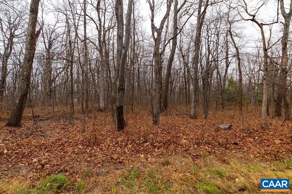 559 LAUREL SPRINGS DR