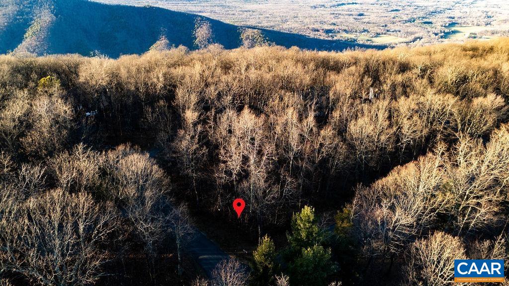 559 LAUREL SPRINGS DR