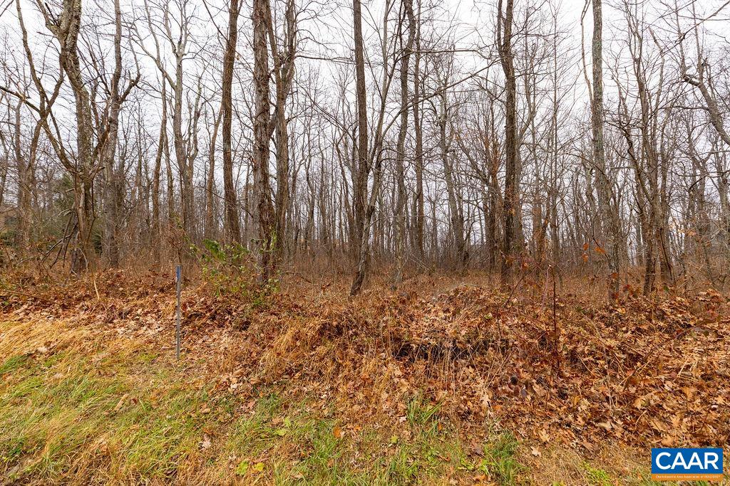 579 LAUREL SPRINGS DR